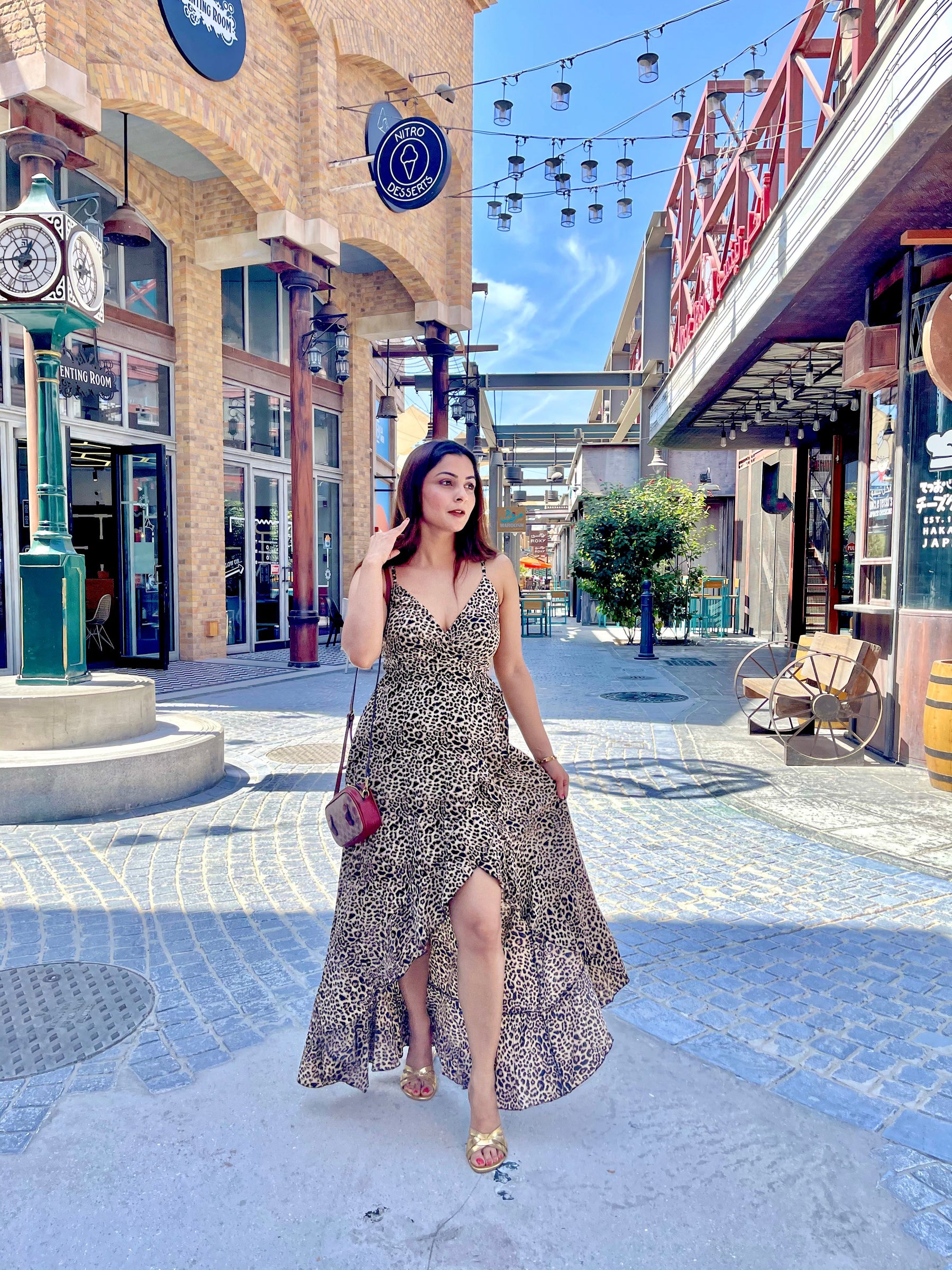 Leopard Print Beach Dress