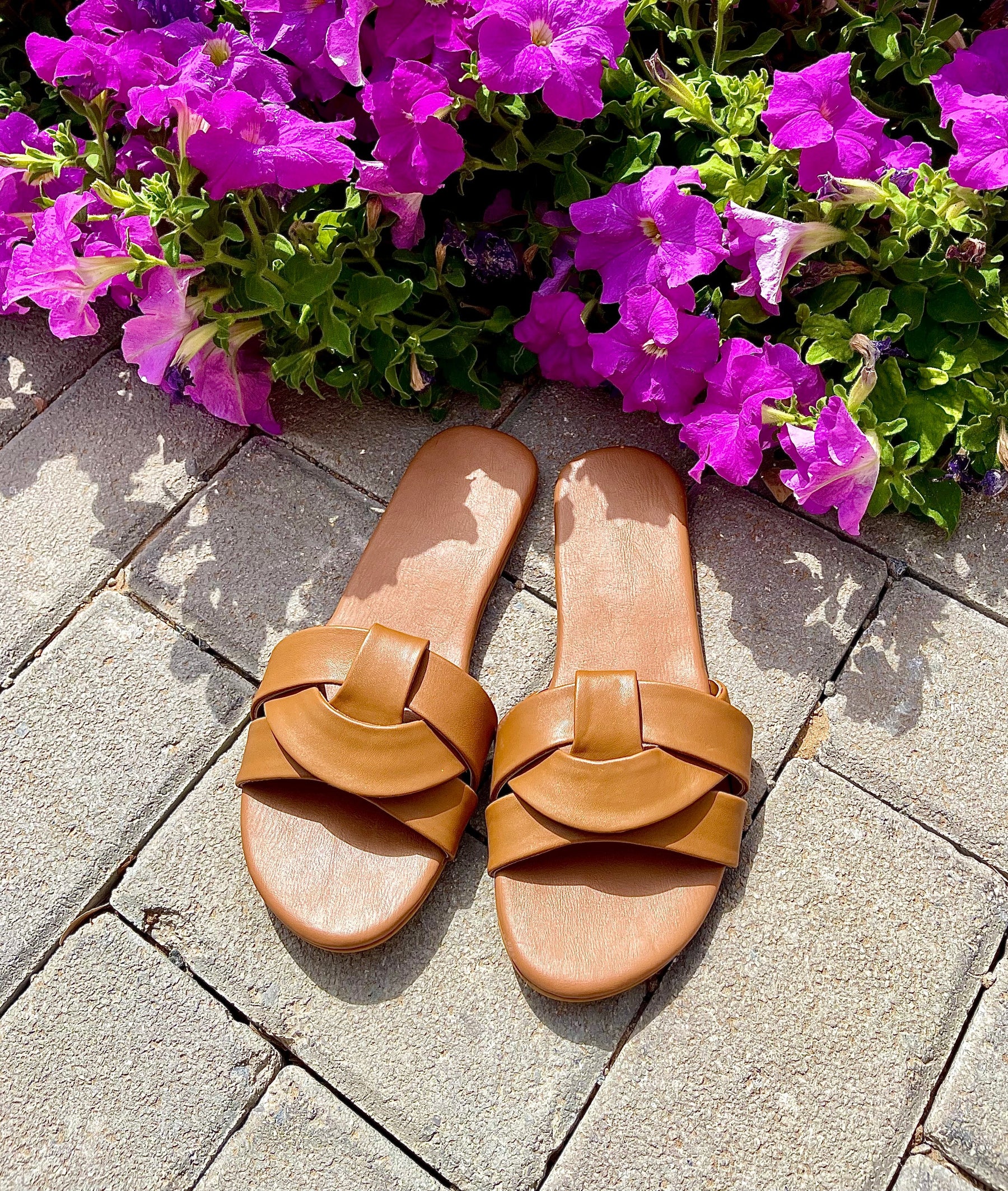Tan Celtic Knot Slides