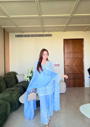 Powder Blue Embroidered Dupatta Suit Set